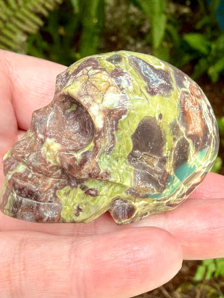 Money Agate Skull