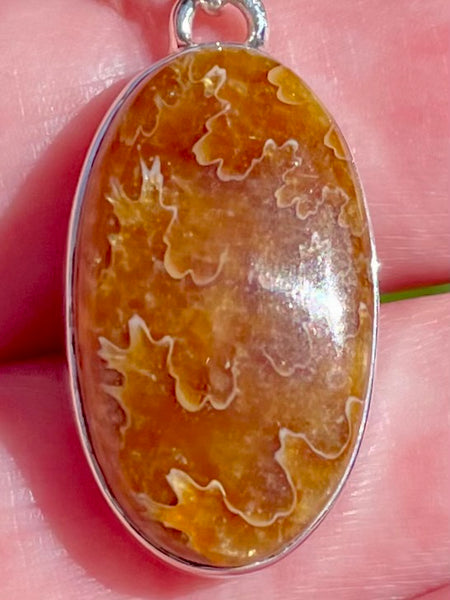 Sutured Ammonite Pendant - Morganna’s Treasures