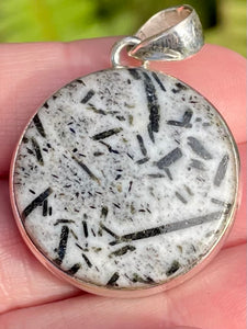 Hornblende Pendant - Morganna’s Treasures