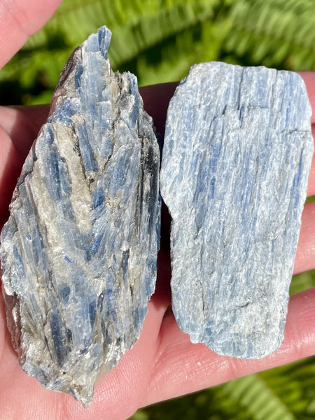 Large Rough Blue Kyanite - Morganna’s Treasures 