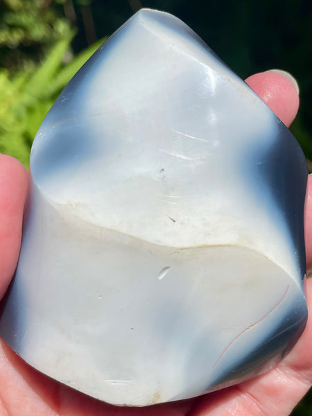 Orca Agate Flame - Morganna’s Treasures