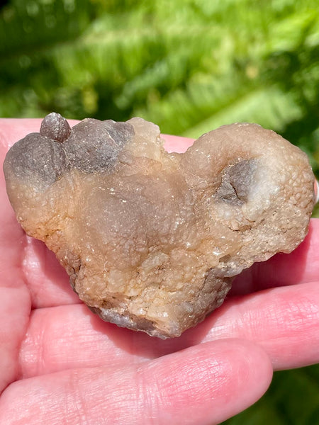 Botroyoidal Chalcedony Palm Stone - Morganna’s Treasures 