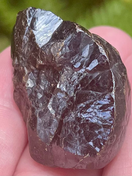 Botroyoidal Hematite from Morocco - Morganna’s Treasures 