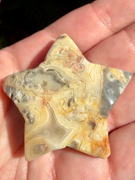 Crazy Lace Agate Druzy Star