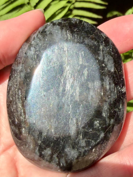 Large Astrophyllite Palm Stone