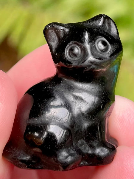 Black Obsidian Cat - Morganna’s Treasures