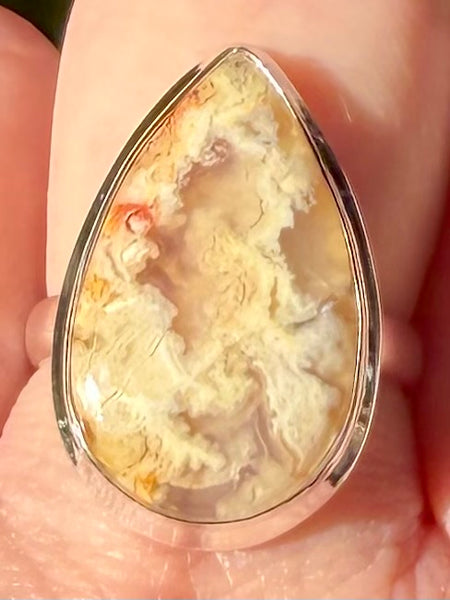 Graveyard Plume Agate Ring Size 8 - Morganna’s Treasures