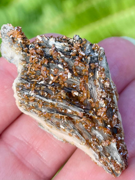 Vanadinite on Barite Crystal Cluster - Morganna’s Treasures 