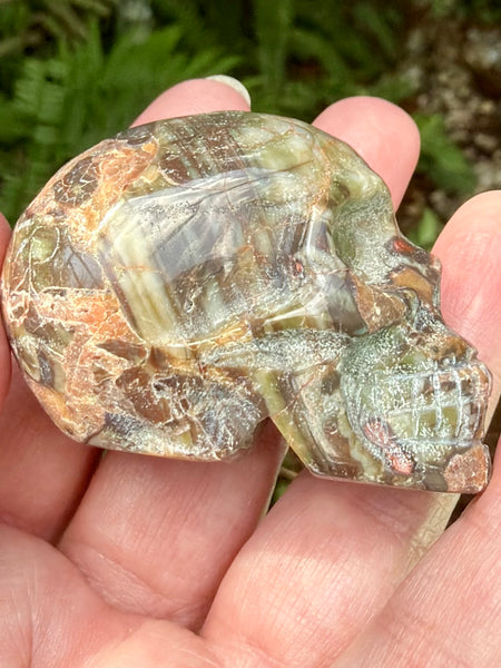 Money Agate Skull