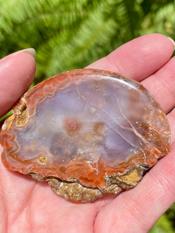 Candy Agate Palm Stone - Morganna’s Treasures 