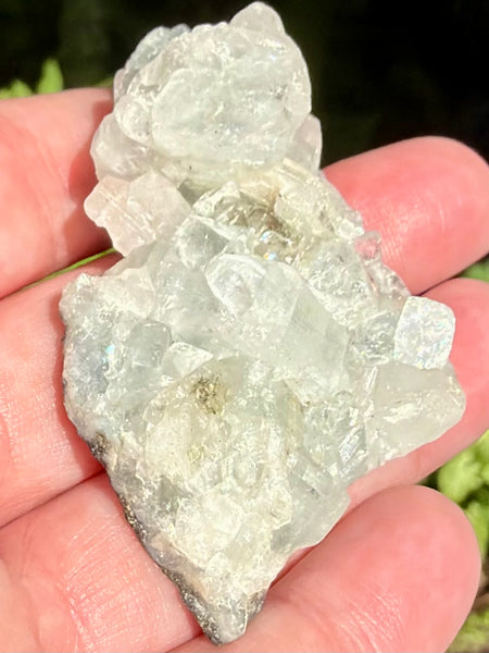 Apophyllite Cluster