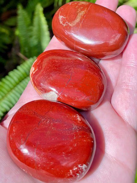 Snakeskin Jasper with Specular Hematite Palm Stone - Morganna’s Treasures