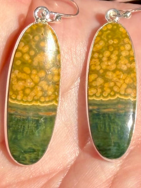 Ocean Jasper Earrings - Morganna’s Treasures