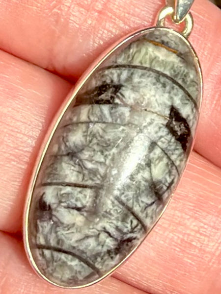 Gorgeous Orthoceras Fossil Pendant - Morganna’s Treasures