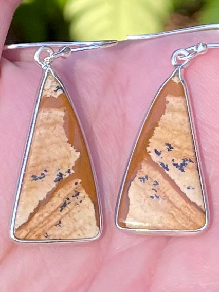 Picture Jasper Earrings - Morganna’s Treasures