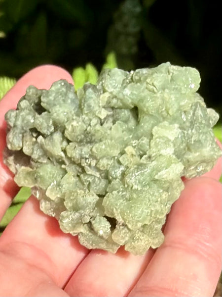 Prehnite with Epidote Cluster