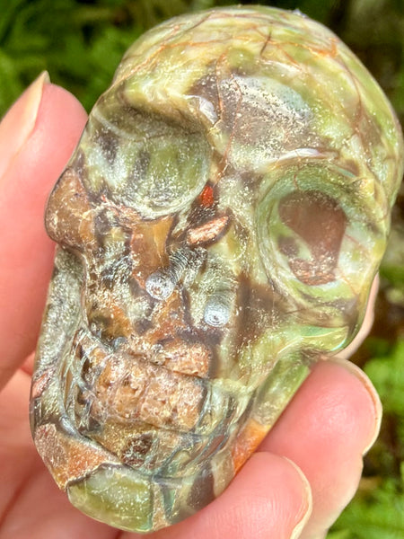 Money Agate Skull
