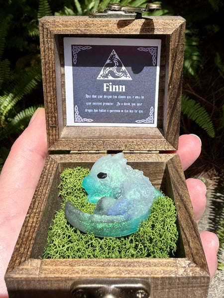 “Finn” Dragon Protector