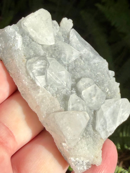 Apophyllite Cluster - Morganna’s Treasures