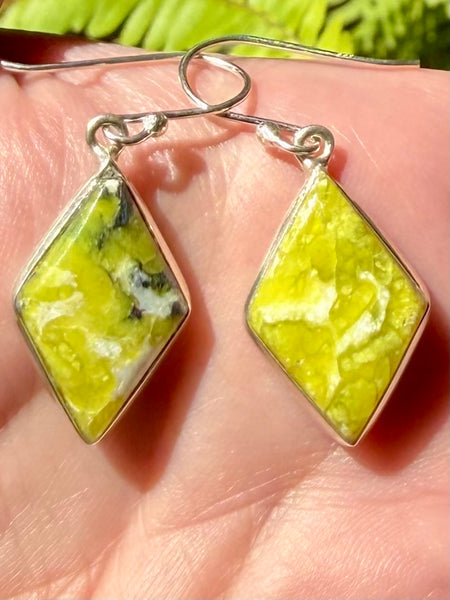 Lizardite Earrings - Morganna’s Treasures