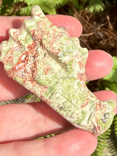 Money Agate Dragon - Morganna’s Treasures