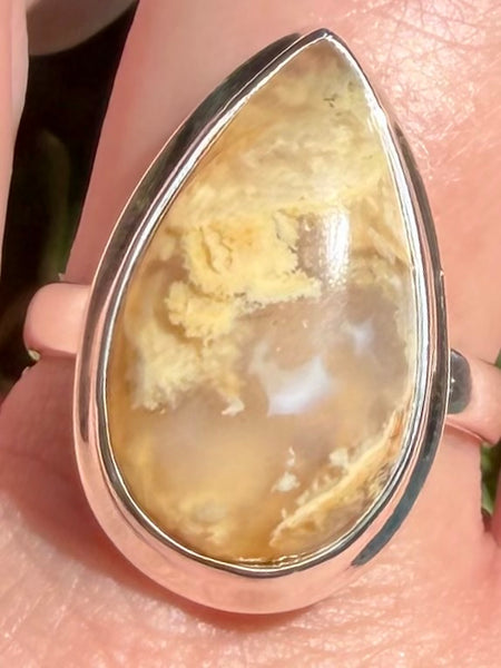 Graveyard Plume Agate Ring Size 10 - Morganna’s Treasures