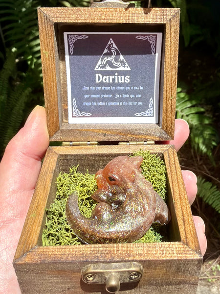 “Darius” Dragon Protector