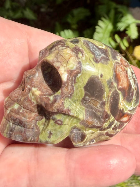 Money Agate Skull - Morganna’s Treasures