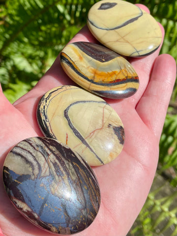 Stunning Tiger Iron Palm Stones from Australia - Morganna’s Treasures 