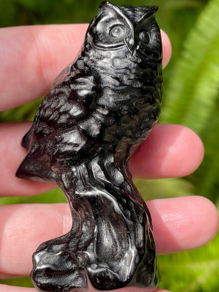Black Obsidian Owl - Morganna’s Treasures