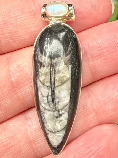 Gorgeous Orthoceras Fossil and Rainbow Moonstone Pendant - Morganna’s Treasures