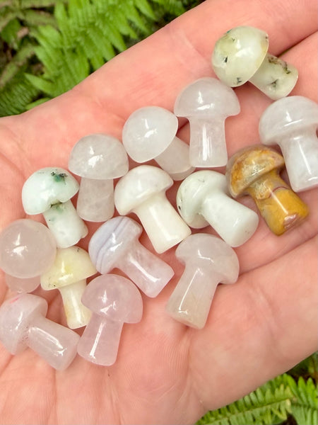 Intuitively Chosen Small Crystal Mushroom