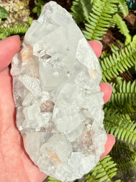 Apophyllite Cluster