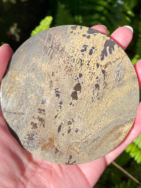 Picture Jasper Charging Plate