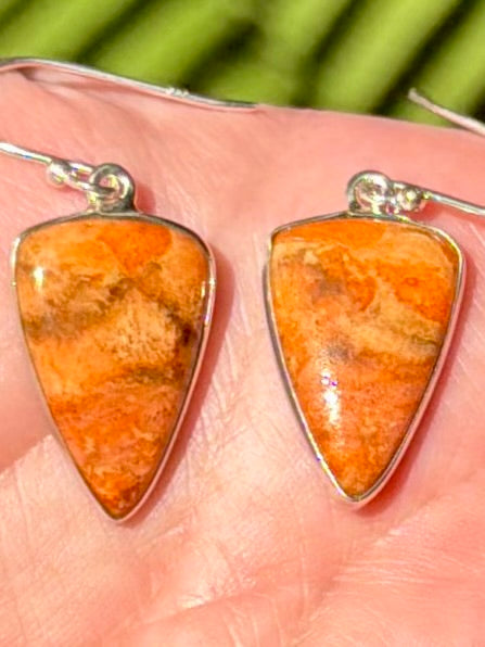 Coral Earrings