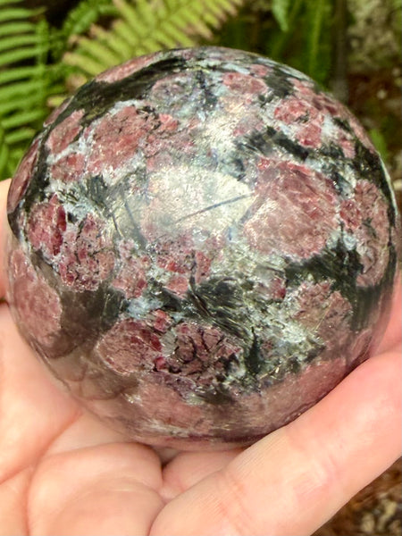 Large Garnet in Astrophyllite Sphere
