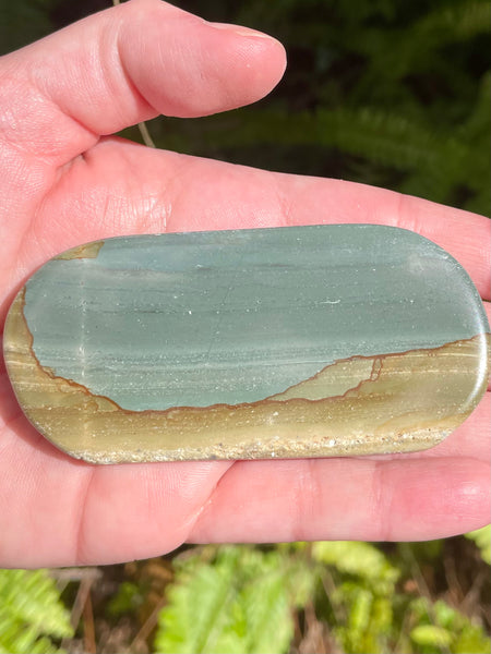 Succor Creek Picture Jasper Palm Stone - Morganna’s Treasures