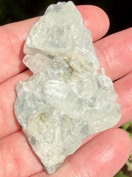 Apophyllite Cluster