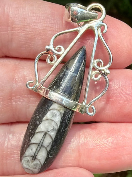 Gorgeous Orthoceras Fossil Pendant