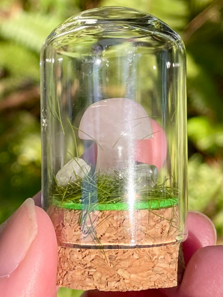 Rose Quartz Mushroom Terrarium