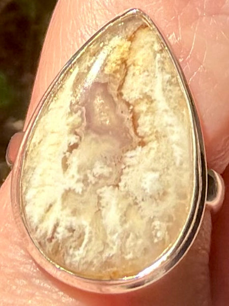 Graveyard Plume Agate Ring Size 9 - Morganna’s Treasures
