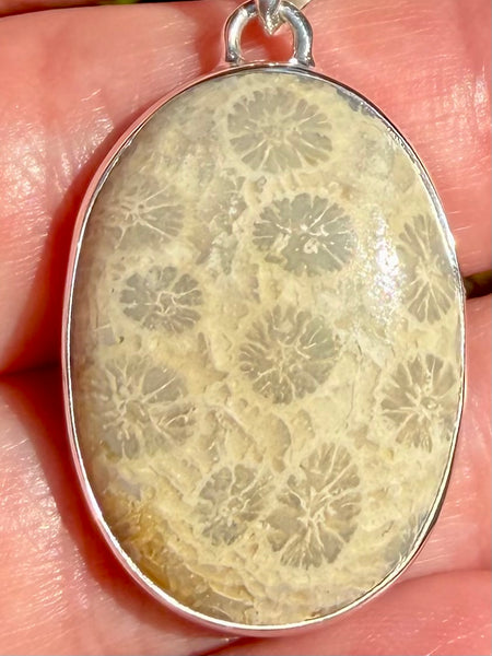 Fossil Coral Pendant