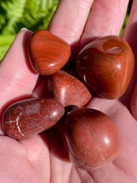Red Jasper Tumbled Stones - Morganna’s Treasures 