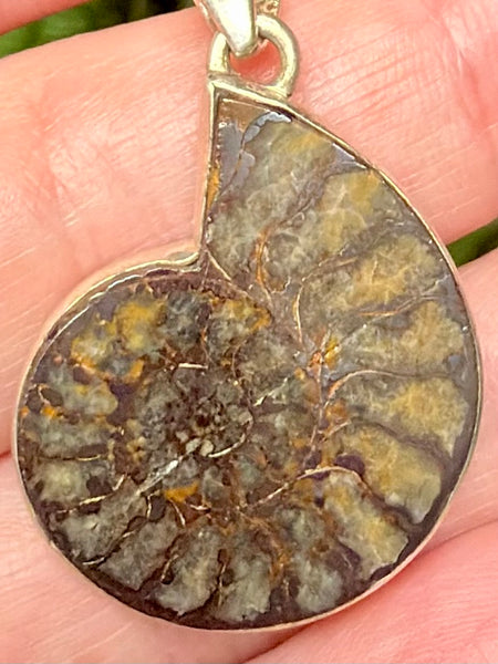 Fossil Quenstedtoceras Pyrite Ammonite Pendant