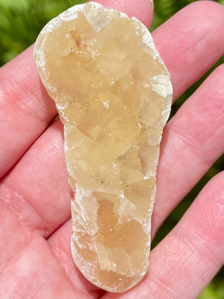 Honey Calcite from Florida - Morganna’s Treasures 