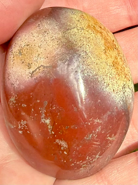 Ocean Jasper Palm Stone