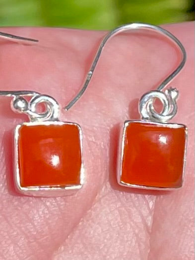 Carnelian Earrings - Morganna’s Treasures 