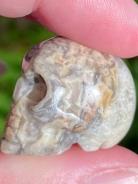 Small Crazy Lace Agate Skull - Morganna’s Treasures 