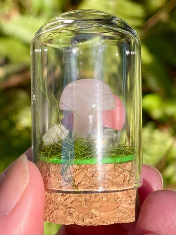 Rose Quartz Mushroom Terrarium