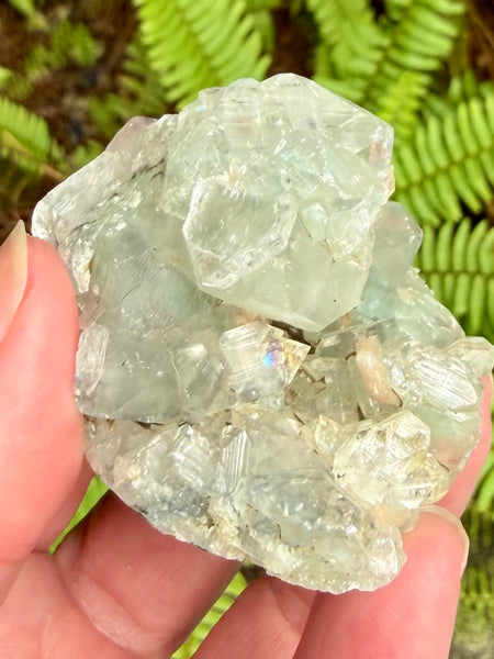 Apophyllite Cluster